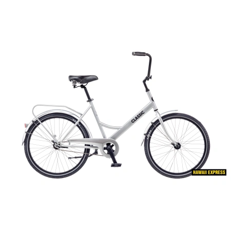 Linnaratas Classic 24" Funk 1s EQ hõbe classic
