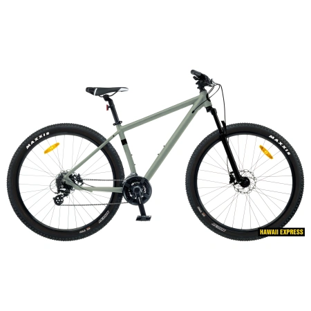 Maastikuratas Classic 29"+ PRO 24k 19/L hall