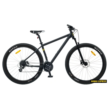 Maastikuratas Classic 29"+ PRO 24k 17/M must