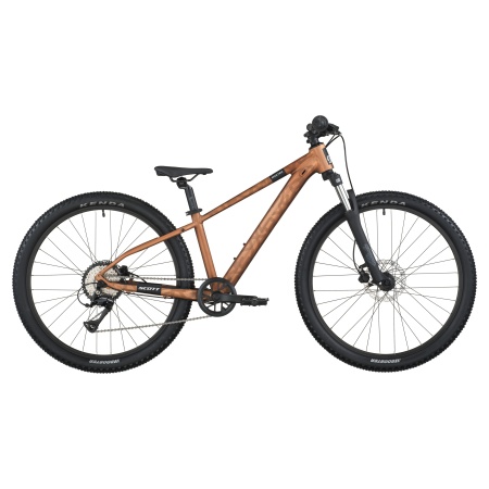 Lasteratas Scott 26" Roxter 600 pruun